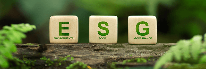 A picture of 3 wooden blocks on a log in nature, each with a letter one them, spelling ESG. Each of the blocks has below the corresponding letters Environmental, Social, and Governance.