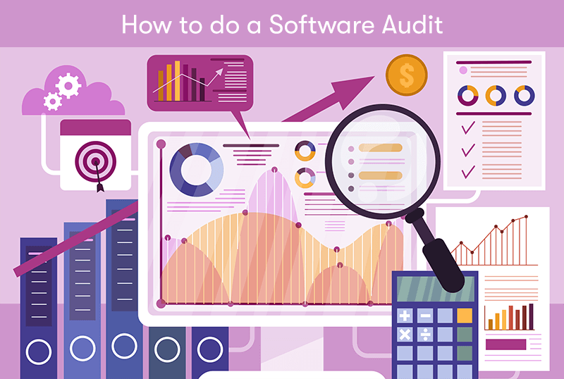 A picture of a magnifying glass over software, data, files, and analytics. With the text 'How to do a Software Audit' at the top. On a pink background.