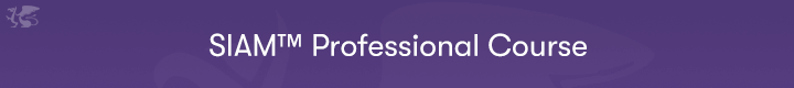 SIAM Professional banner on a purple background