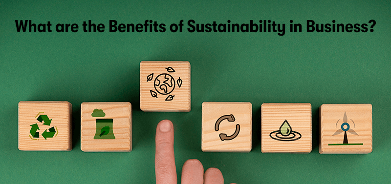 A picture of sustainability benefits on wooden blocks, with a finger pushing one up. With the heading 'What are the Benefits of Sustainability in Business?' above. On a green background.