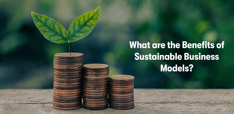 A picture of stack of money with a plant growing out the top on the left. With the heading 'What are the Benefits of Sustainable Business Models?' to the right.