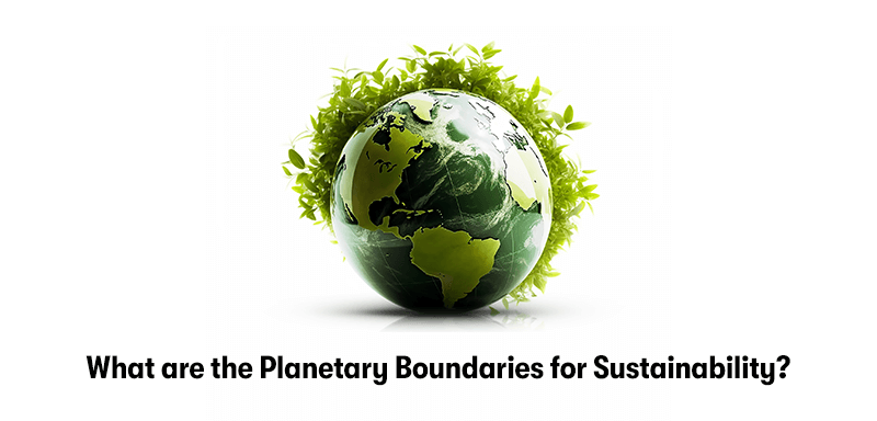 A picture of the earth, with plants growing out of it. With the heading 'What are the Planetary Boundaries for Sustainability?' underneath. On a white background.