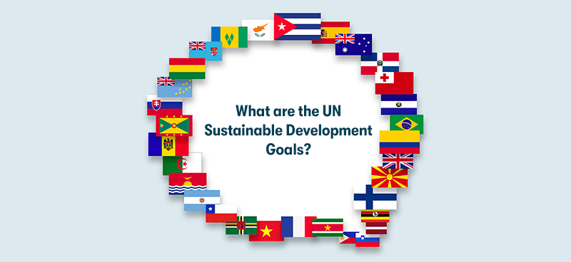 A picture of the UN flags arranged to make a speech bubble. In the middle of the speech bubble is the heading 'What are the UN Sustainable Development Goals?'. On a light grey background.