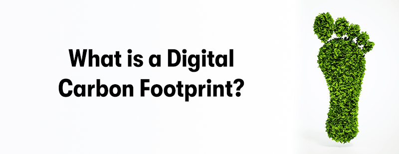 A picture of a footprint made from grass on the right, with the heading 'What is a Digital Carbon Footprint?' on the left, with a white background.
