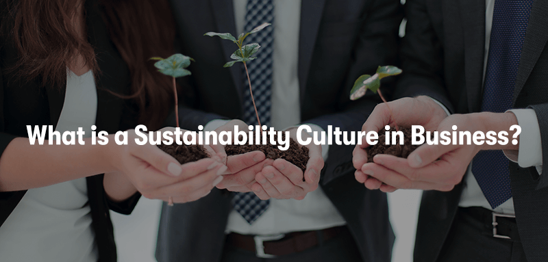 A picture of three business people holding plants and soil in their hands. With the heading 'What is a Sustainability Culture in Business?' in front.