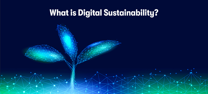 A picture of a digital plant, connected to the ground via lines and nodes. With the heading 'What is Digital Sustainability' above. On a dark blue background.