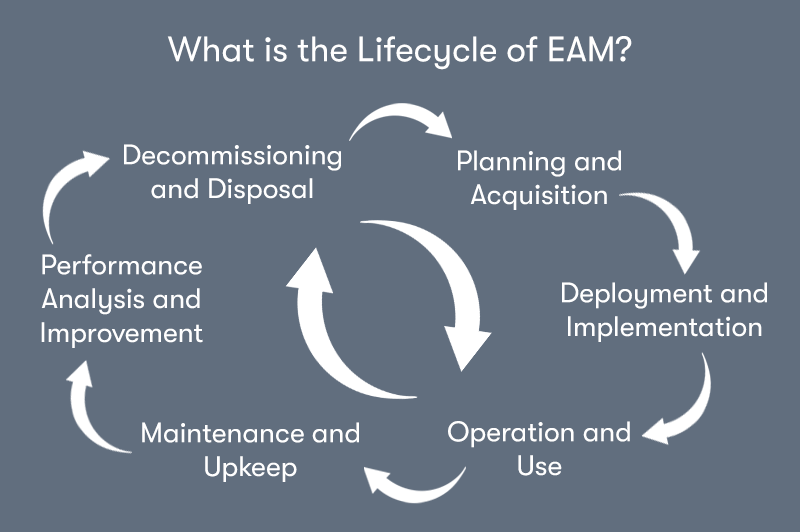 A diagram of the EAM lifecycle with the text 'What is the lifecycle of EAM?' above. On a grey background.