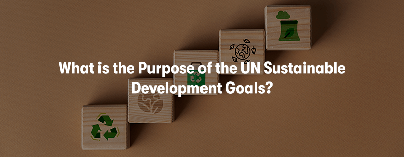 A picture of wooden blocks with icons on them symbolising green energy, recycling, and the planet. With the heading 'What is the Purpose of the UN Sustainable Development Goals?' in front. On a brown background.