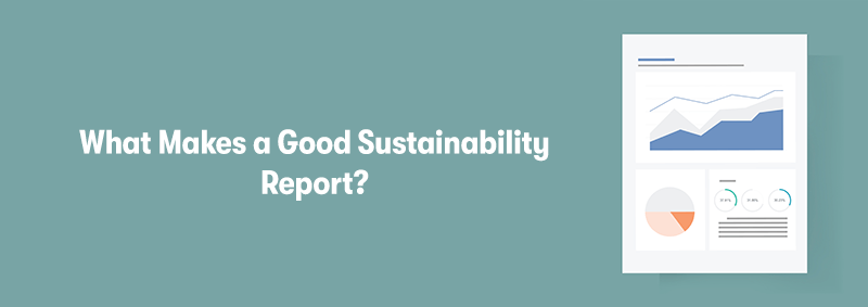 The heading 'What Makes a Good Sustainability Report?' on the left. With a picture of a report on the right with graphs and statistics on it. On a light blue background.