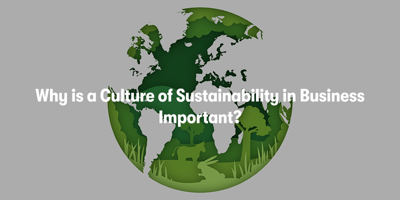 A picture of a green globe with the heading of 'Why is a Culture of Sustainability in Business Important?' in front. On a grey background.