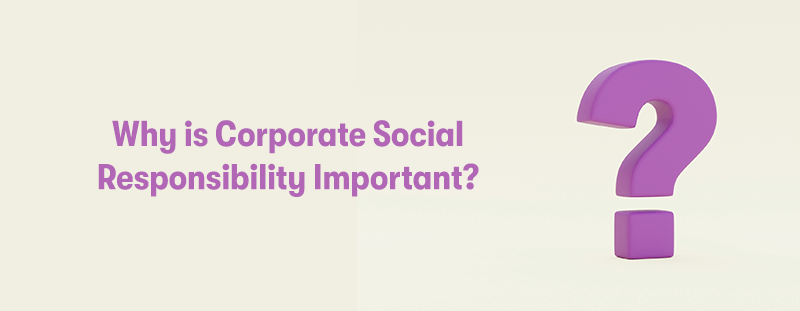 On the left is the heading 'Why is Corporate Social Responsibility Important?'. On the right is a large purple question mark. On a cream background.