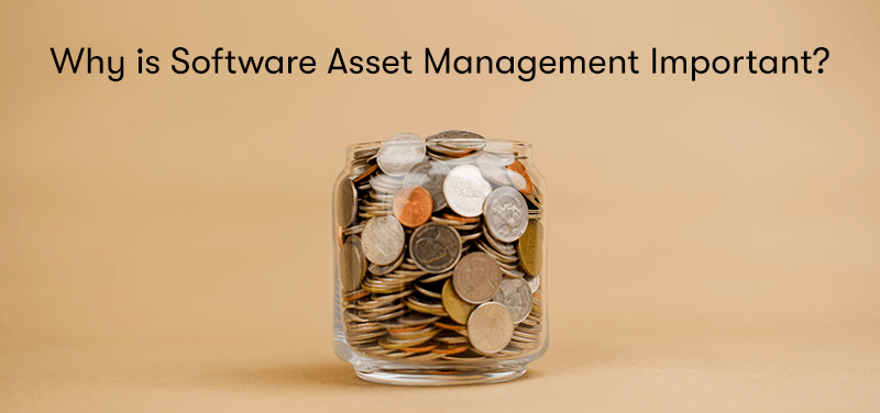 A picture of a pot of money, with the heading 'Why is Software Asset Management Important?' above. on a cream background.
