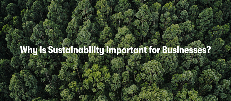 A birds eye view of a lush forest, with the heading 'Why is Sustainability Important for Businesses?' in front.