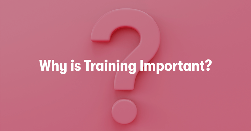 A picture of a pink question mark on a pink background. With the heading 'Why is Training Important?' in front.