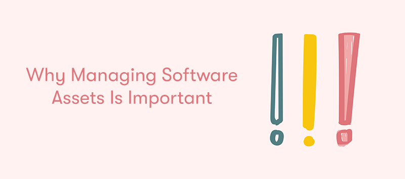 The heading Why Managing Software Assets Is Important on the left. With 3 exclamation marks on the right in different colours. On a light pink background.
