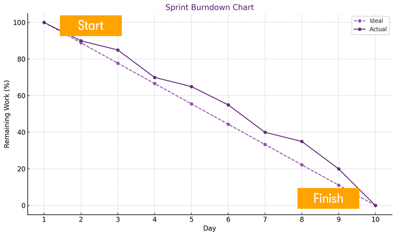 An example picture of a burndown chart with labels showing the start, finish, ideal line, and actual line plotted on % of of work and days as the X and Y axis. On a white background.